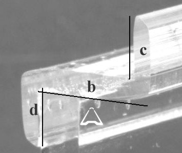 cross-section image