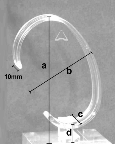 cross-section image