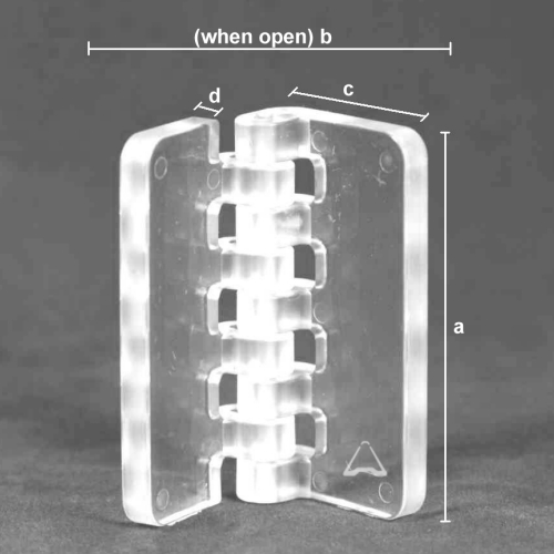 cross-section image