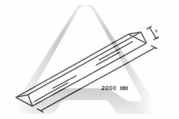 cross-section image