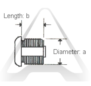 cross-section image