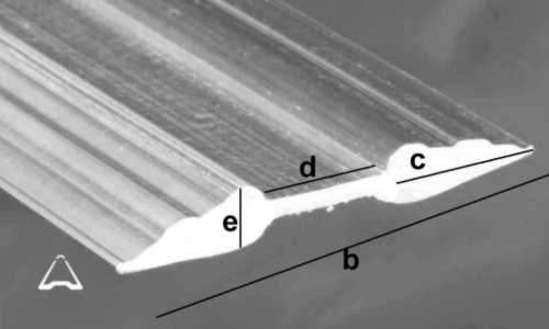 cross-section image