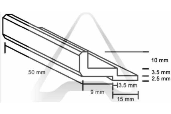 cross-section image