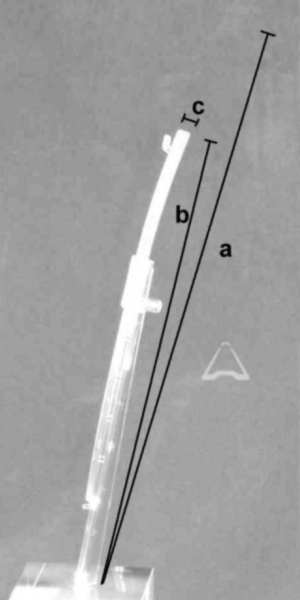 cross-section image