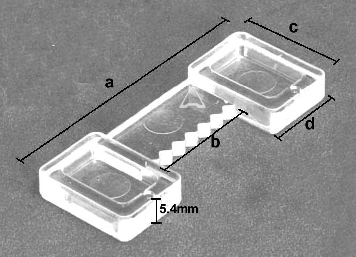 cross-section image