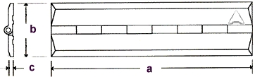 cross-section image