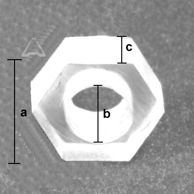 cross-section image