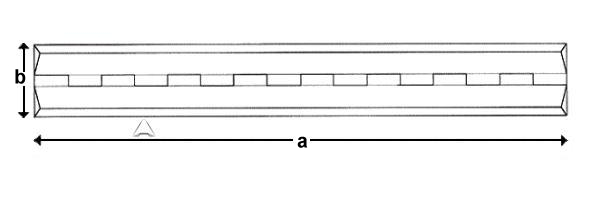 cross-section image