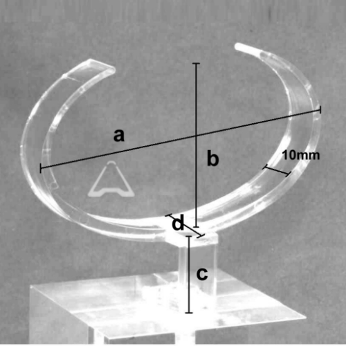 cross-section image