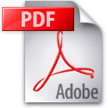 pdf file